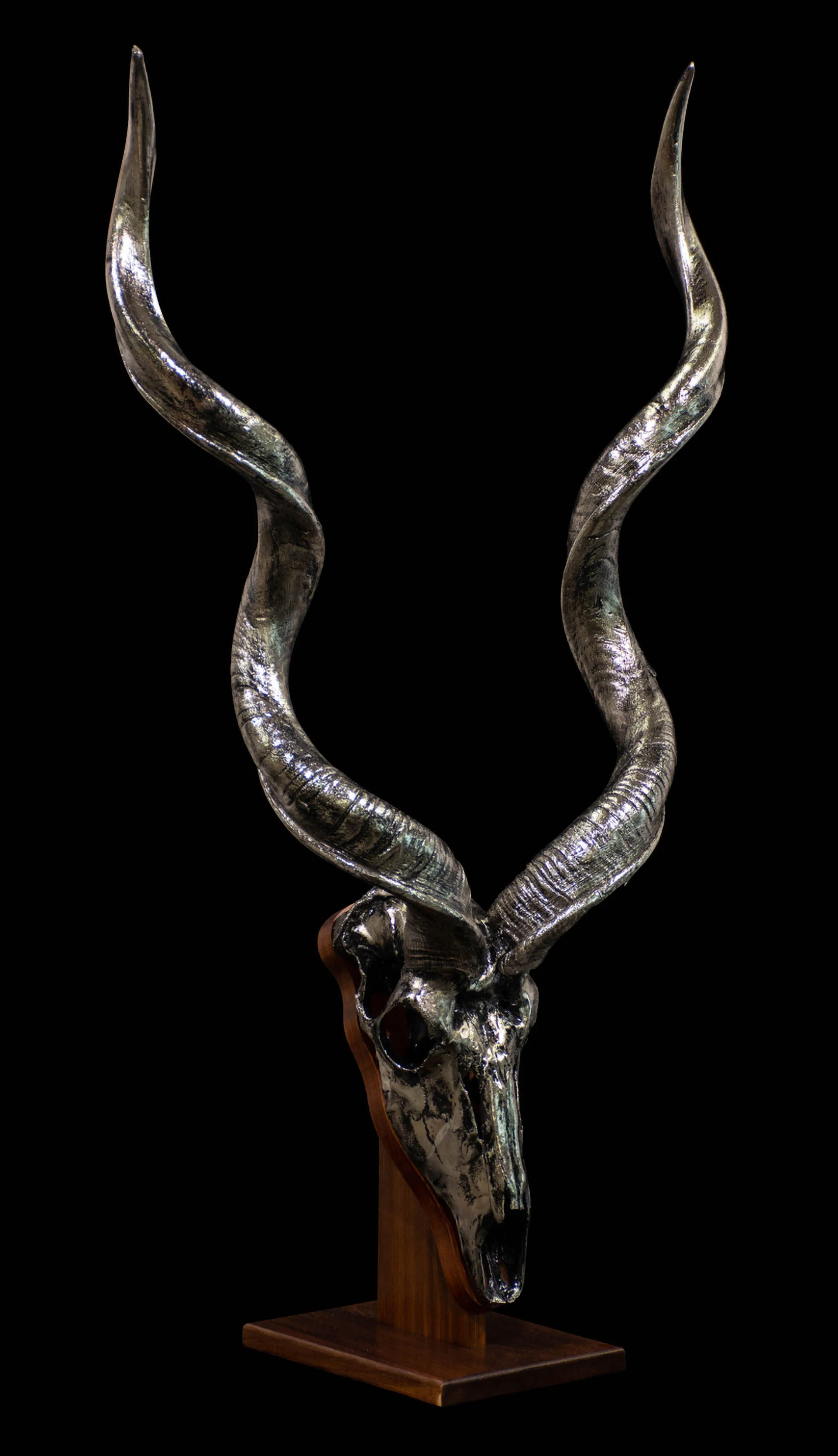 Kudu Nickel Desktop 2 Skull Mount — Highveld Taxidermists